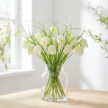 Artikel Schaakbordbloemen Fritillaria kunstwit, groen 40cm 12 st