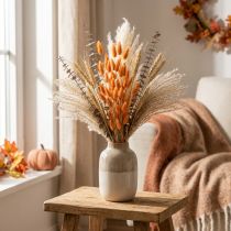 Artikel Lagurus Gedroogd Konijnenstaartgras Abrikoos Decoratieve Gedroogde Bloemen 55-60cm 50g
