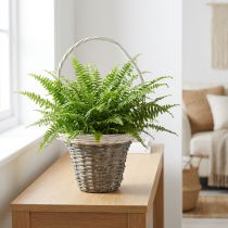 Artikel Rieten mand met handvat, grijs en wit, Ø25 cm, H45 cm, decoratieve plantenmand