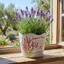 Artikel Plantenbak kunststof lavendel bloempot Ø13,5cm H12cm