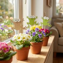 Artikel Bloemplug kikker grappige decoratieve plug hout 7,5cm 12st