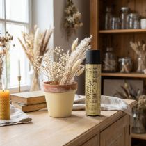 Artikel Vintage Vanilla Verfspray 400ml