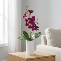 Artikel Kleine orchidee Phalaenopsis kunstbloem donkerpaars 30cm