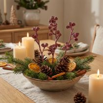 Artikel Eucalyptus takken rood gematteerd natuurlijke decoratie exotisch 25 stuks