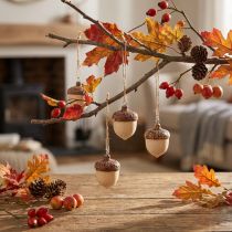 Artikel Eikel voor hangdecoratie herfst naturel/bruin 5,3x3,5cm 12 stuks