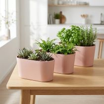 Artikel Plantenschaal ovale sierschaal kunststof roze bruin 20×10×11cm 3st