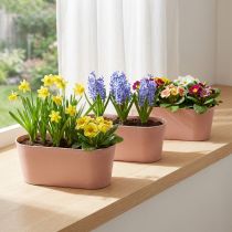 Artikel Plantenschaal ovale sierschaal kunststof roze bruin 27×11×10cm 3st