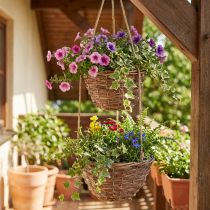 Artikel Hangmand bloemenmand 2 manden hout naturel Ø20cm/26cm