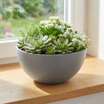 Artikel Bloempot kunststof bloemschaal grijs Ø25cm H12cm