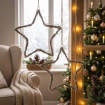 Artikel Kerstdecoratie ster raamdecoratie wit gewassen iep Ø40cm 2st