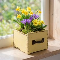 Artikel Plantenlade houten sierplantenbak geel 12,5cm