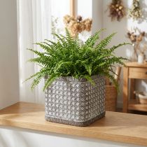 Artikel Plantenbak Plantenbak Keramiek Bloempot 15×15×15cm