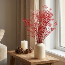 Artikel Gypsophila Gypsophila gedroogde bloemen rood 50cm 55g