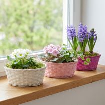 Artikel Frietmandje rond paars/wit/roze Ø25cm 6 st