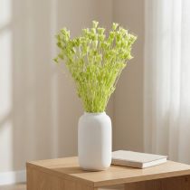 Artikel Gedroogde nigellabloemen, een charmante, natuurlijke kamerdecoratie voor in huis, 70 cm, 50 g