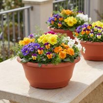 Artikel Kunststof plantenbak Ø27cm ronde schaal terracotta 5 stuks