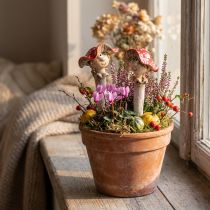 Artikel Decoratieve figuurtjes van een vliegenzwam (meisje en jongen) met gezicht, 13 cm, 2 stuks