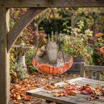 Artikel Vogeldecoratie herfst voor hangpaddenstoel met 2 vogels Ø20cm H15cm