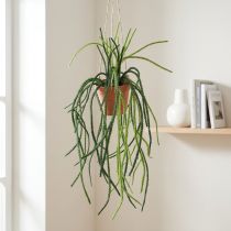 Artikel Rhipsalis kunstmatige koraalcactus hangmand H87cm