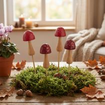 Artikel Bloemstokjes, paddenstoelmotief, houten stokjes, rood, Ø2,5 cm, 8 stuks
