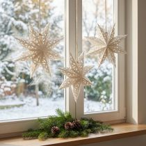 Artikel Ster Sneeuwvlok Decoratieve Hangers Wit Papier Ø20cm Set van 6