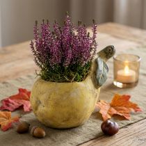 Artikel Decoratieve peren betonnen plantenbak herfstdecoratie 19×12,5×15,5cm