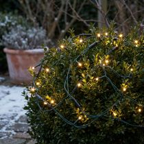 Artikel Buitenverlichtingsnet voor buxus, lichtsnoer met 60 LED's, Ø35cm
