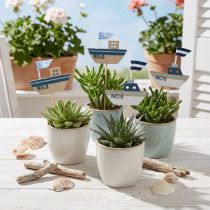 Artikel Decoratieve plug scheepshout wit blauw naturel 8cm H37cm 24 st