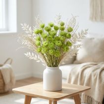 Artikel Droogbloemen kapbloemen lichtgroene strobloemen H42cm