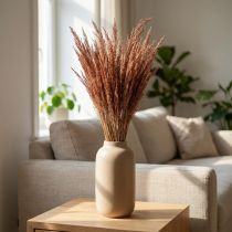 Artikel Rood Bent Gras Agrostis Droog Gras Rood Bruin 65cm 80g