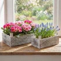 Artikel Rechthoekige houten plantenbak wit 32x17/25x13cm set van 2