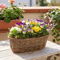 Artikel Ovale plantenmand, met rankmotief, natuurlijke plantenbak, 30 cm lang