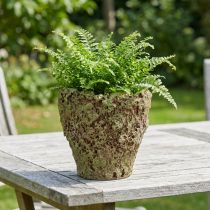Artikel Bloempot rustieke plantenbak moslook Ø17cm H16.5cm