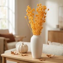 Artikel Nigella droogbloemenarrangement voor langdurig gebruik. Een elegante blikvanger. 70 cm, 50 g