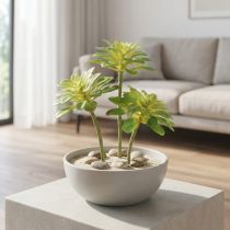 Artikel Succulente kunstplant met steker Aeonium Groen 30cm 4 st.
