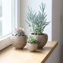 Artikel Decoratieve schaal Keramiek Spiraal Decor Beige Bruin Ø9cm 4st