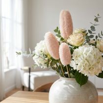Artikel Grote luffa op stok, gebleekt, 25 stuks