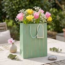 Artikel Cadeauzakje lichtgroen gouden strepen 18×10×23cm 1 st