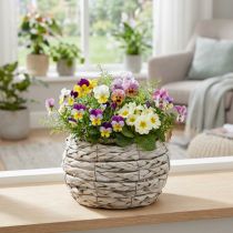 Artikel Plantenmand bloempot wit rustiek Ø17cm H11cm decoratie
