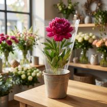 Artikel Verpakkingstrechter A bloemenzakken folie B25cm H25cm 50 stuks