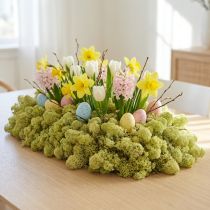 Artikel Decoratief mosgroen kiwimos voor ambachten, gedroogd, geverfd 500g
