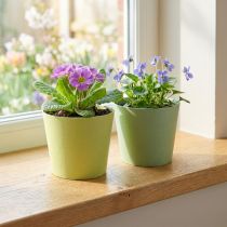 Artikel Papieren pot, mini bloempot, cachepot blauw/groen Ø9cm H7.5cm 4st