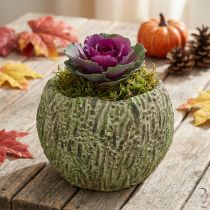 Artikel Plantenbak beton antiek look groen, bruin plantenbak Ø13cm
