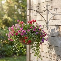 Artikel Wandhaak, metalen plantenhouder, hangmandhouder H30cm D28.5cm