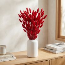 Artikel Konijnenstaartgras (Lagurus) Gedroogd Rood 60cm 50g Gedroogde Bloemendecoratie