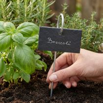 Artikel Natuurleisteenplaten Stekkerplantborden Zwart 25cm
