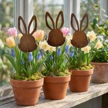 Artikel Bloemplug roest konijn decoratie 7,5 cm×11,5 cm 6 st