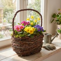 Artikel Mand met handvat berken plantenmand met folie H28,5cm