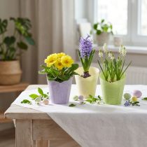 Artikel Plantenpot geweven plantenbak papier groen, geel, paars Ø7cm H13cm 12st