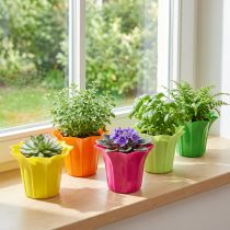 Artikel Plantenbak voor potplanten, kleurrijk assorti. Ø10,5cm 10 stuks